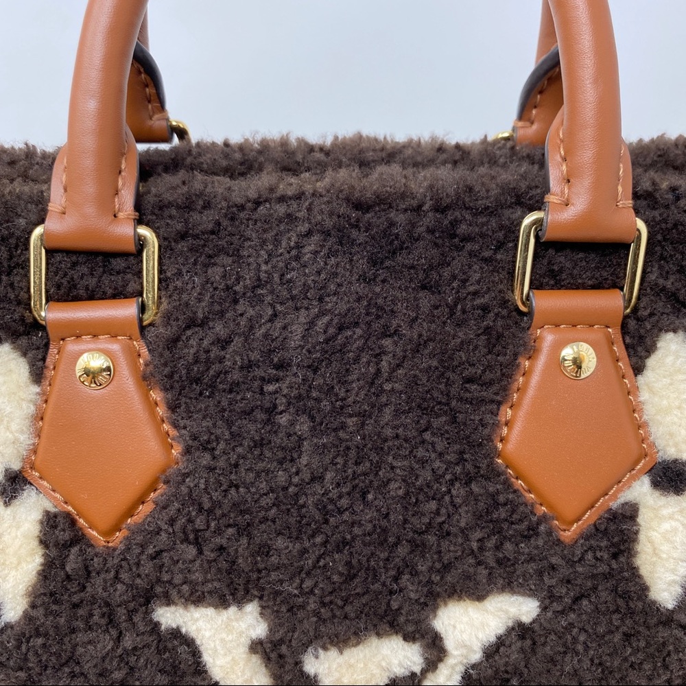 Louis Vuitton Speedy 25 Monogram Teddy Fleece - Picture 6 of 16
